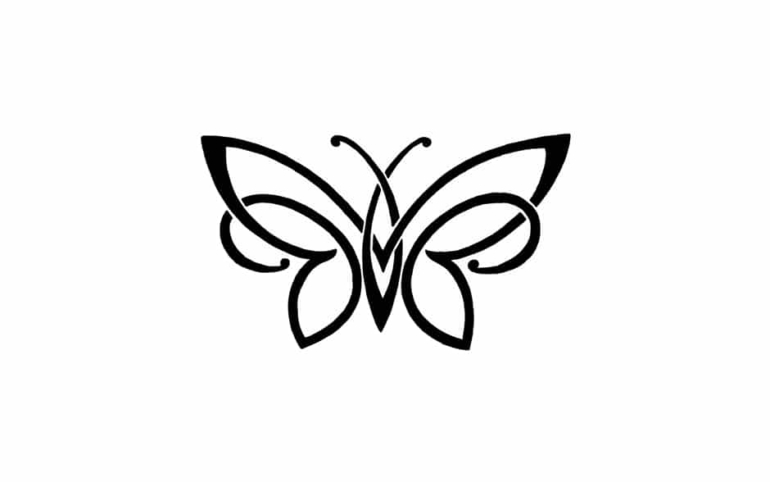 butterfly-42414_1280-770x482.jpg